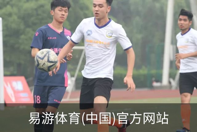 易游体育(中国)官方网站公司简介